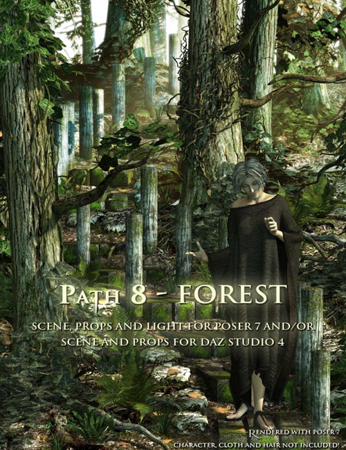 Path 8 - Forest