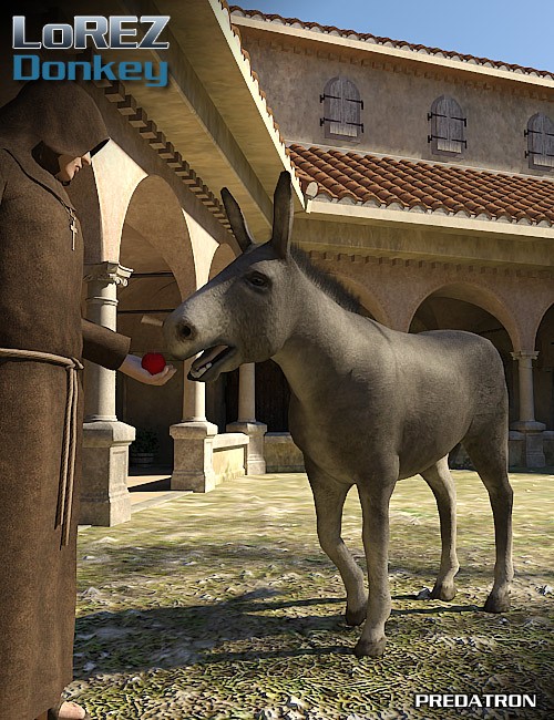 LoREZ Donkey