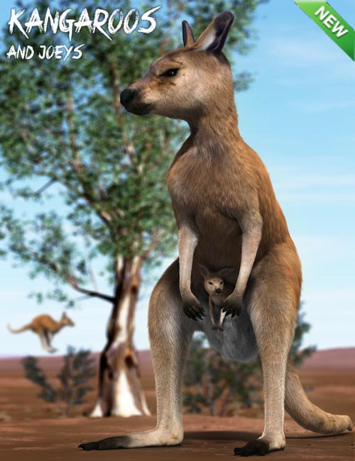 Kangaroos and Joeys