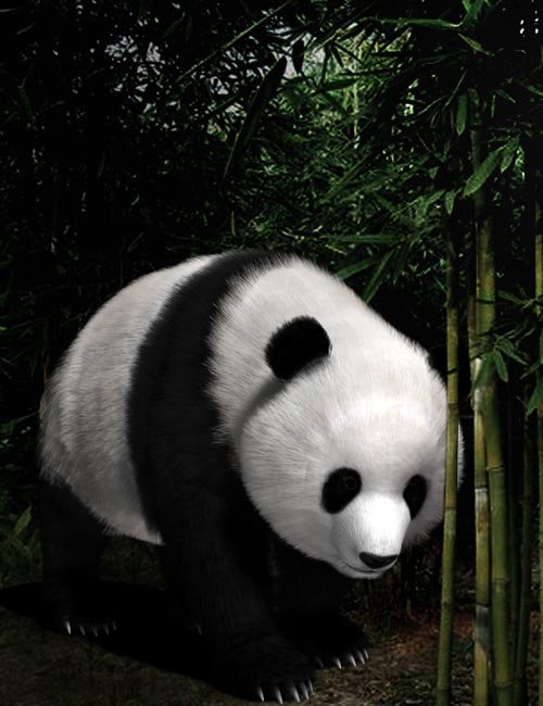 Panda (Poser)