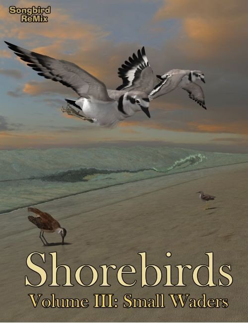 Songbird ReMix: Shorebirds Volume III