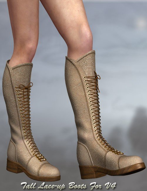 Tall Lace-up Boots For V4