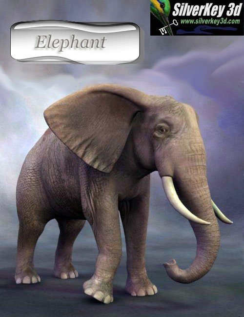 [Updated] African Elephant