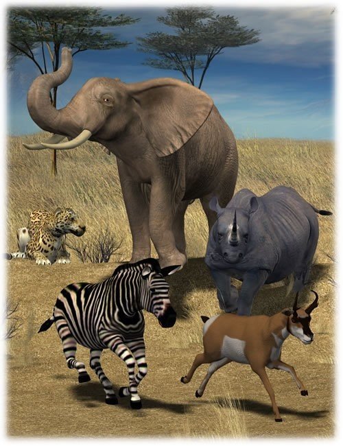 Safari Animals Poses