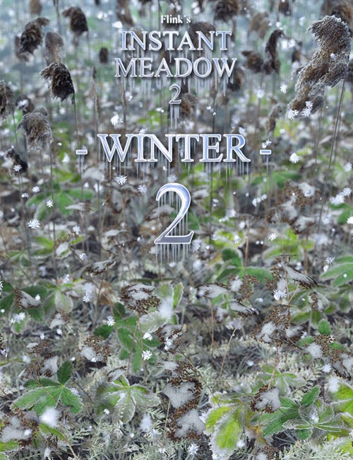 Flinks Instant Meadow 2 - Winter 2