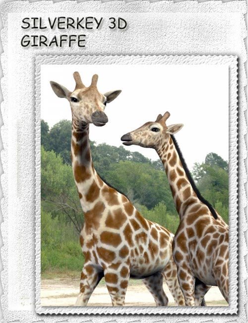 SilverKey 3d Giraffe