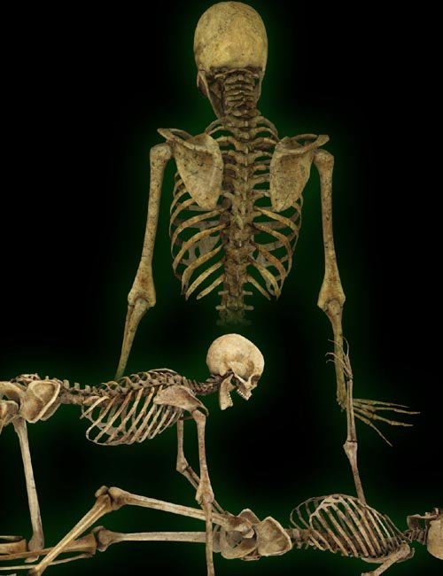 FB Old Bones Poses For V4