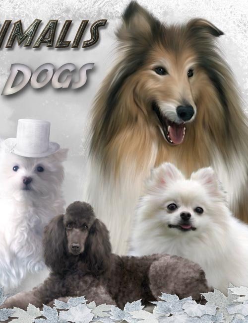 ANIMALIS - Dogs