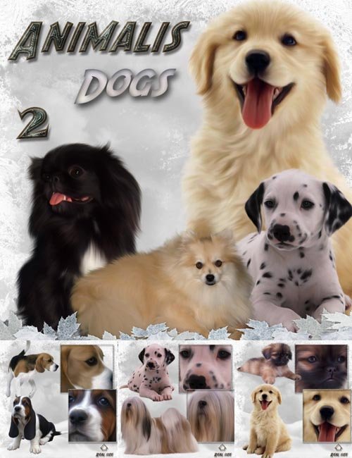 ANIMALIS - Dogs 2