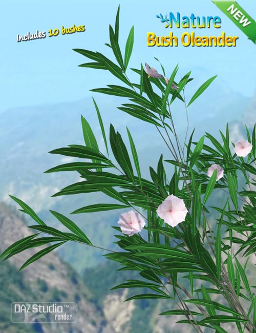 Nature - Bush Oleander