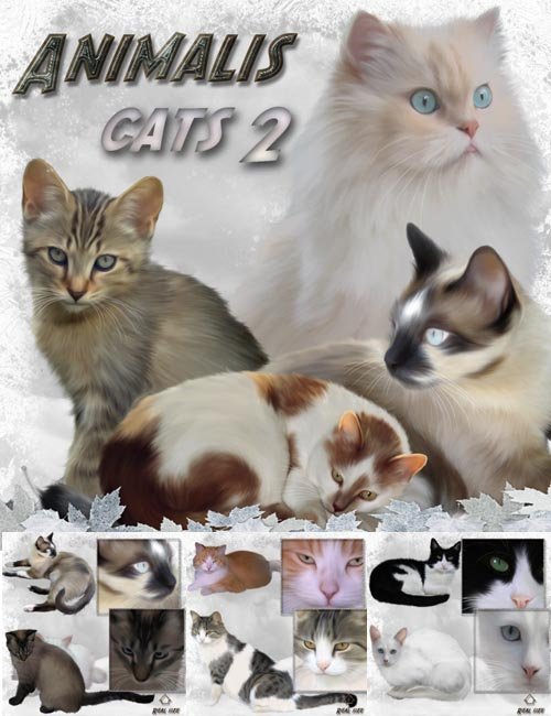 ANIMALIS - Cats 2