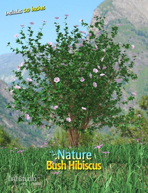 Nature - Bush Hibiscus