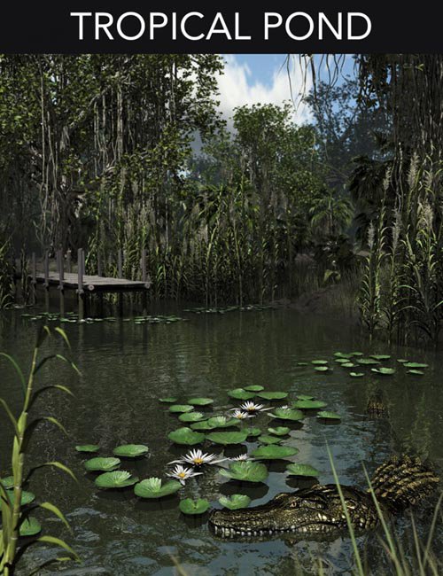 Tropical Pond