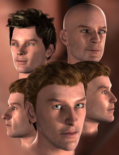 Handsome Head Morphs for Genesis