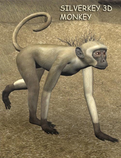SilverKey 3d Monkey [UPDATED]