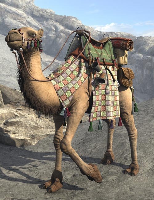 My Camel Camelia HD