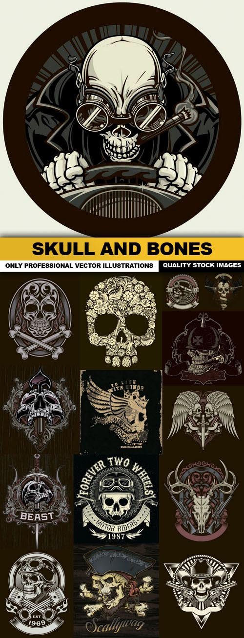Skull And Bones - 15 Vector