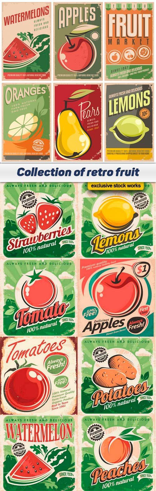 Collection of retro fruit - 10 EPS