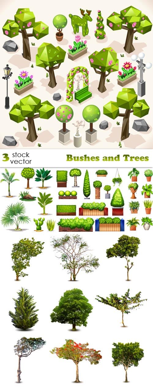 Vectors - Bushes and Trees