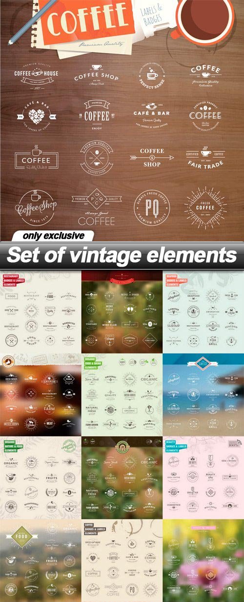 Set of vintage elements - 16 EPS