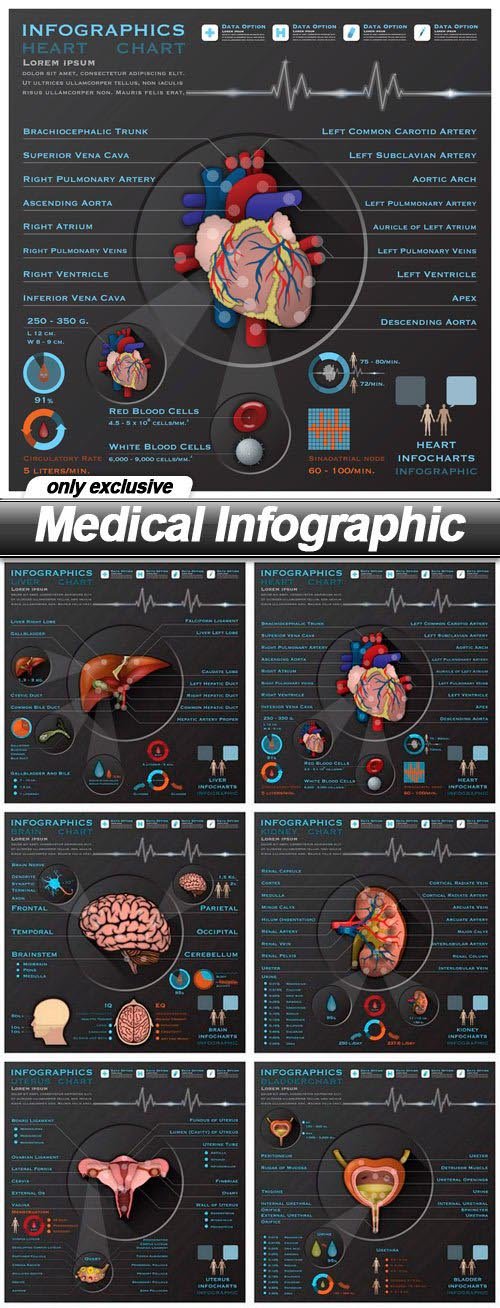 Medical Infographic - 12 EPS