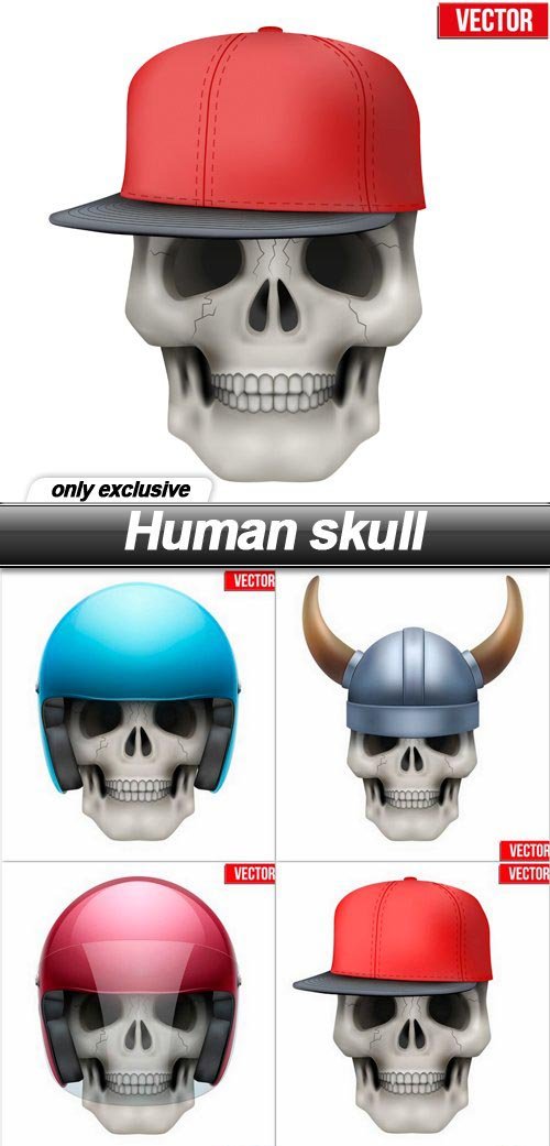 Human skull - 6 EPS