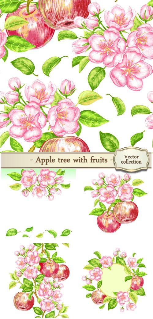 Apple tree with fruit in a vector