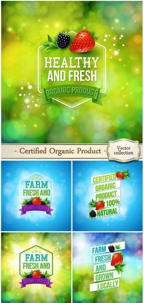 Certified organic product vector 