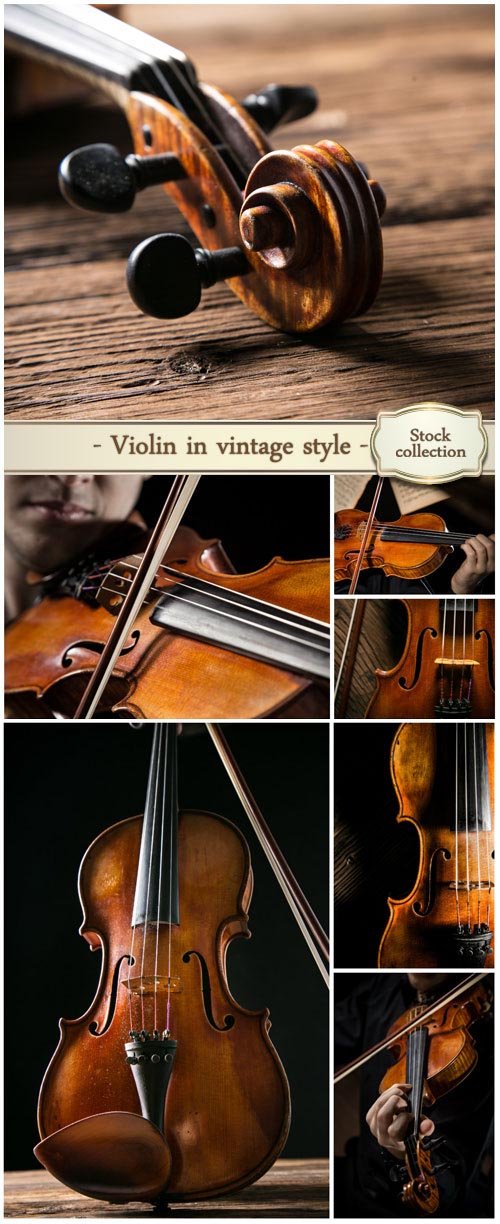Violin in vintage style on wood background - stock photos