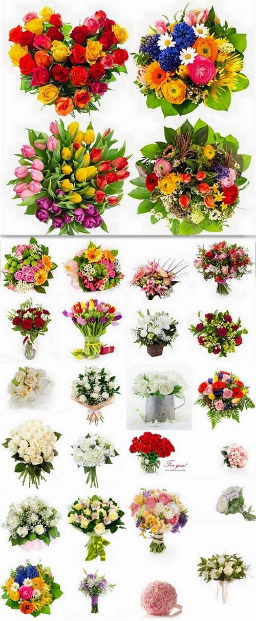 Beautiful bouquets of different flowers on white - 25 HQ Jpg