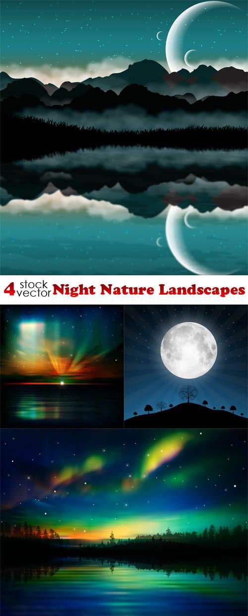 Vectors - Night Nature Landscapes