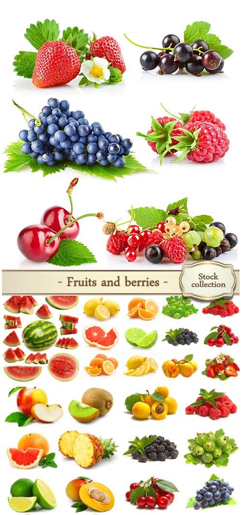 Fruits and berries - Stock photo collection
