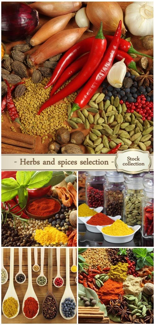 Herbs and spices - Stock Photo