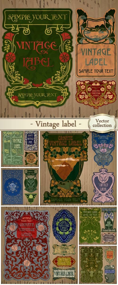 Vintage vector label with ornaments and floral patterns