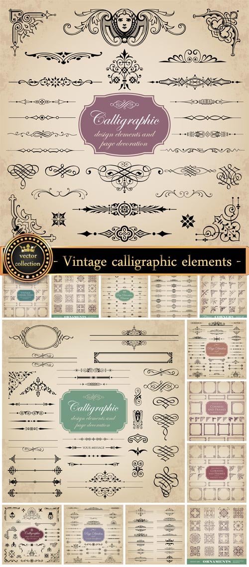 Vintage corners, frames and calligraphic elements vector