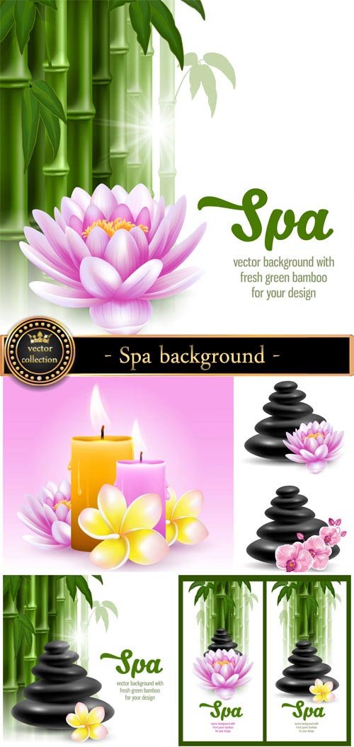 Spa background in vector, bamboo, lotus, orchid 