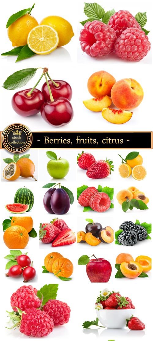 Berries, fruits, citrus - stock photos