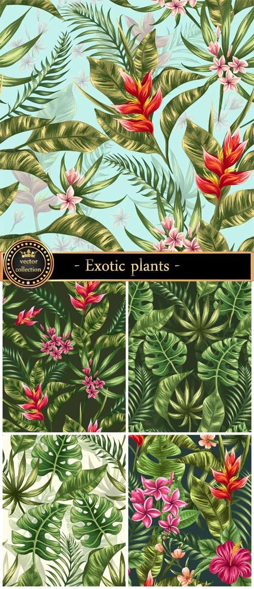 Vector backgrounds with exotic plants