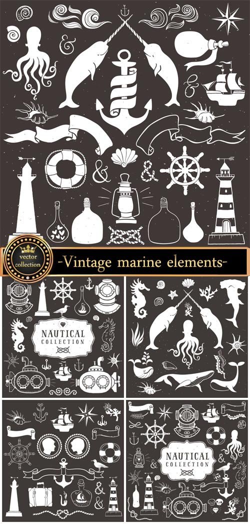 Vintage marine elements in the vector