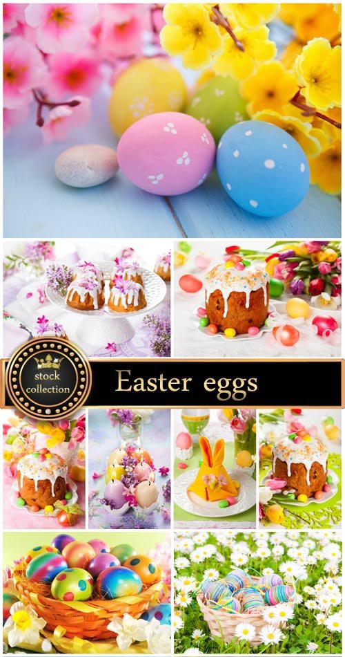 Easter eggs and flowers - Stock Photo