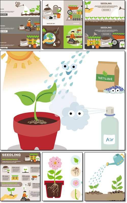 Seedling infographics set with gardening elements and equipment illustration - Vector