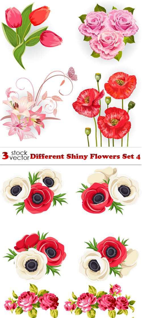 Vectors - Different Shiny Flowers Set 4