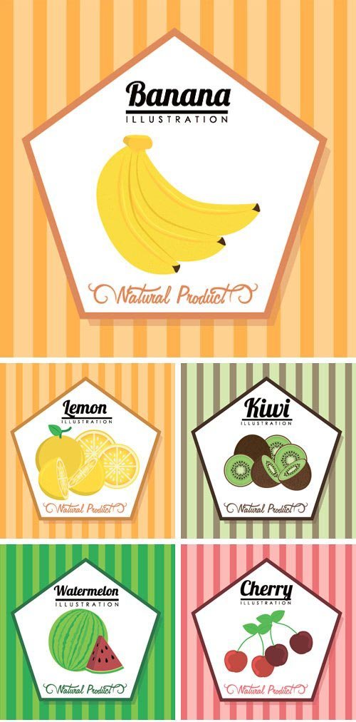 Stock Vectors - Fruits digital design, vector illustration graphic