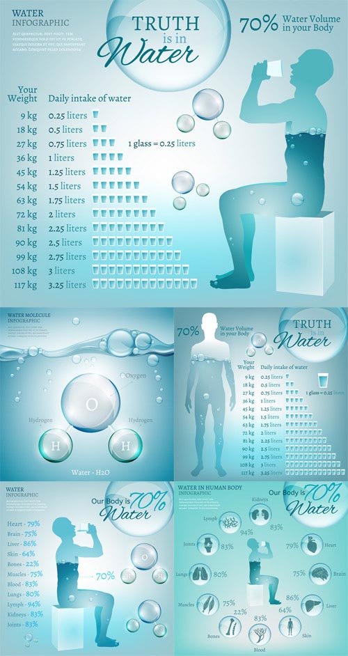 Vector Set - Water in Body