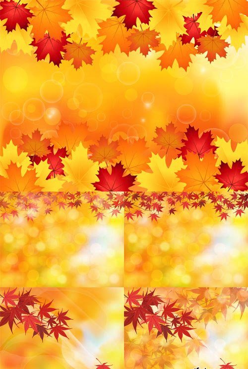 5 Autumn Leaves Vector Backgrounds Set
