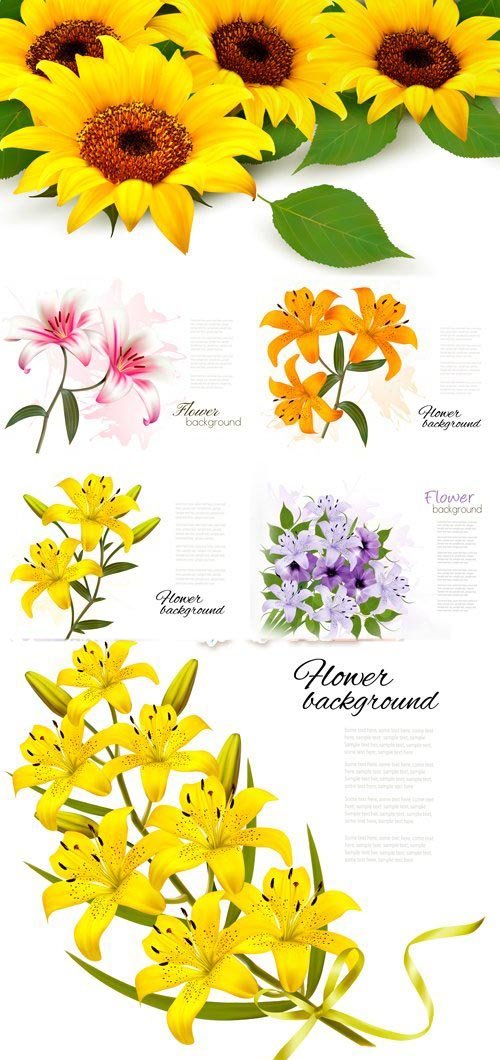 Realistic Flowers Cards Vector 2