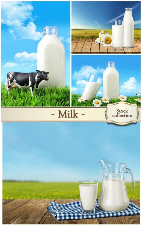Milk on the background of grass and daisies - Stock photo
