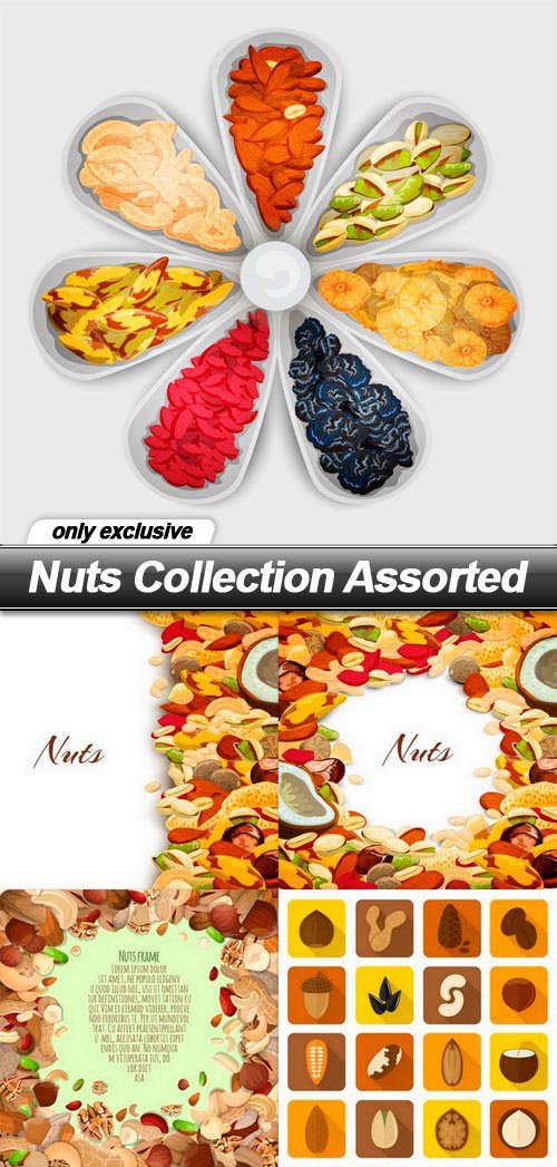 Nuts Collection Assorted - 10 EPS