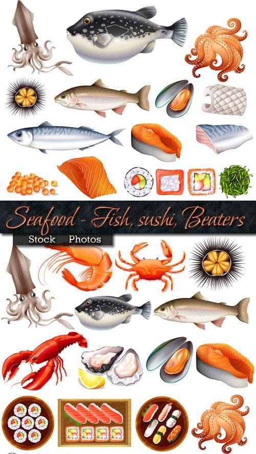 Seafood in Vector