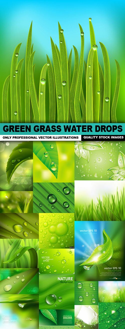 Green Grass Water Drops - 20 Vector